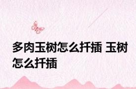 多肉玉树怎么扦插 玉树怎么扦插