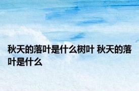 秋天的落叶是什么树叶 秋天的落叶是什么