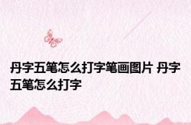 丹字五笔怎么打字笔画图片 丹字五笔怎么打字 