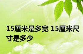 15厘米是多宽 15厘米尺寸是多少