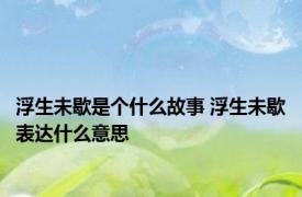 浮生未歇是个什么故事 浮生未歇表达什么意思