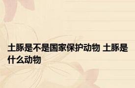 土豚是不是国家保护动物 土豚是什么动物