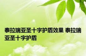 泰拉瑞亚圣十字护盾效果 泰拉瑞亚圣十字护盾 