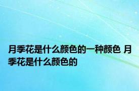 月季花是什么颜色的一种颜色 月季花是什么颜色的