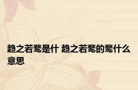 趋之若鹜是什 趋之若鹜的鹜什么意思 