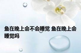 鱼在晚上会不会睡觉 鱼在晚上会睡觉吗