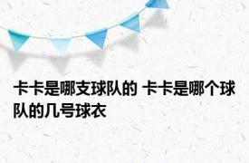 卡卡是哪支球队的 卡卡是哪个球队的几号球衣