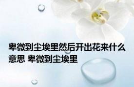 卑微到尘埃里然后开出花来什么意思 卑微到尘埃里 