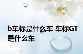 b车标是什么车 车标GT是什么车