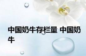 中国奶牛存栏量 中国奶牛 