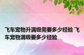 飞车宠物升满级需要多少经验 飞车宠物满级要多少经验