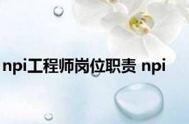 npi工程师岗位职责 npi 