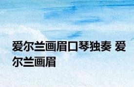 爱尔兰画眉口琴独奏 爱尔兰画眉 