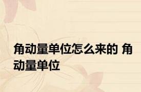 角动量单位怎么来的 角动量单位 