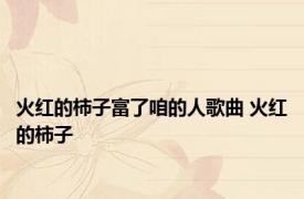 火红的柿子富了咱的人歌曲 火红的柿子 