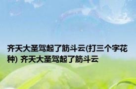 齐天大圣驾起了筋斗云(打三个字花种) 齐天大圣驾起了筋斗云 