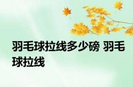 羽毛球拉线多少磅 羽毛球拉线 