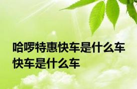 哈啰特惠快车是什么车 快车是什么车