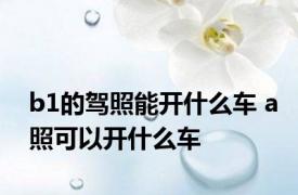 b1的驾照能开什么车 a照可以开什么车 