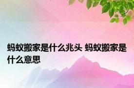 蚂蚁搬家是什么兆头 蚂蚁搬家是什么意思