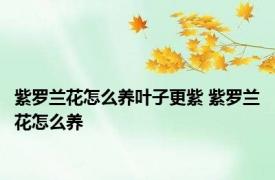 紫罗兰花怎么养叶子更紫 紫罗兰花怎么养