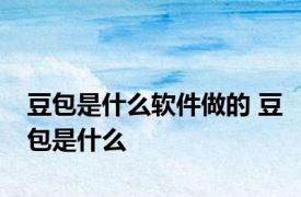 豆包是什么软件做的 豆包是什么