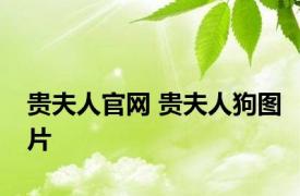 贵夫人官网 贵夫人狗图片 