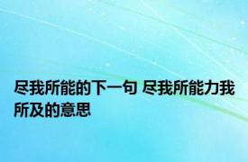 尽我所能的下一句 尽我所能力我所及的意思