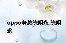 oppo老总陈明永 陈明永 
