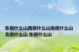 东岳什么山西岳什么山南岳什么山北岳什么山 东岳什么山