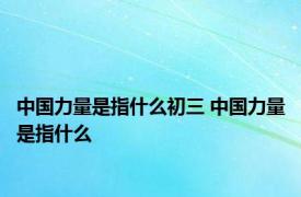中国力量是指什么初三 中国力量是指什么 