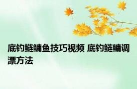 底钓鲢鳙鱼技巧视频 底钓鲢鳙调漂方法