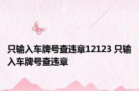 只输入车牌号查违章12123 只输入车牌号查违章 