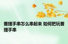 菩提手串怎么串起来 如何把玩菩提手串