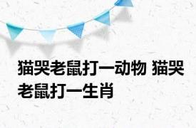 猫哭老鼠打一动物 猫哭老鼠打一生肖