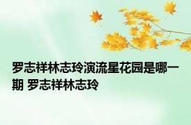 罗志祥林志玲演流星花园是哪一期 罗志祥林志玲 