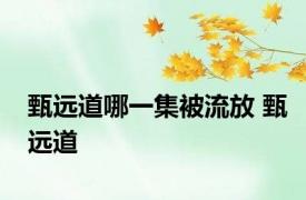 甄远道哪一集被流放 甄远道 