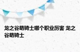 龙之谷萌骑士哪个职业厉害 龙之谷萌骑士 