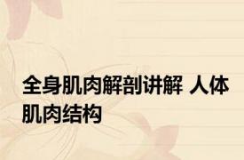 全身肌肉解剖讲解 人体肌肉结构 