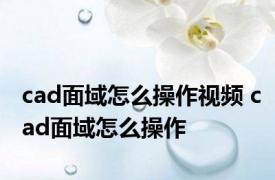 cad面域怎么操作视频 cad面域怎么操作