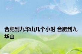 合肥到九华山几个小时 合肥到九华山 