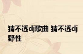 猜不透dj歌曲 猜不透dj野性 