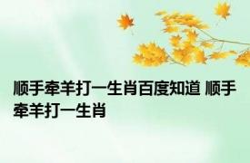 顺手牵羊打一生肖百度知道 顺手牵羊打一生肖 