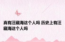 真有汪藏海这个人吗 历史上有汪藏海这个人吗