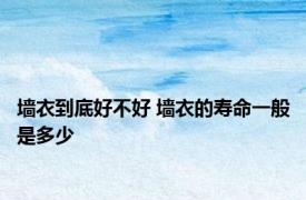 墙衣到底好不好 墙衣的寿命一般是多少