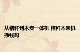 从秸秆到木炭一体机 秸秆木炭机挣钱吗 