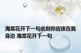 海棠花开下一句此刻你应该在我身边 海棠花开下一句 