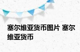 塞尔维亚货币图片 塞尔维亚货币 