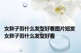 女胖子剪什么发型好看图片短发 女胖子剪什么发型好看