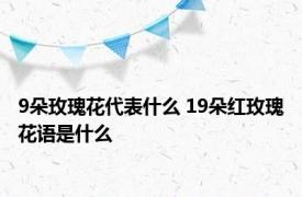 9朵玫瑰花代表什么 19朵红玫瑰花语是什么